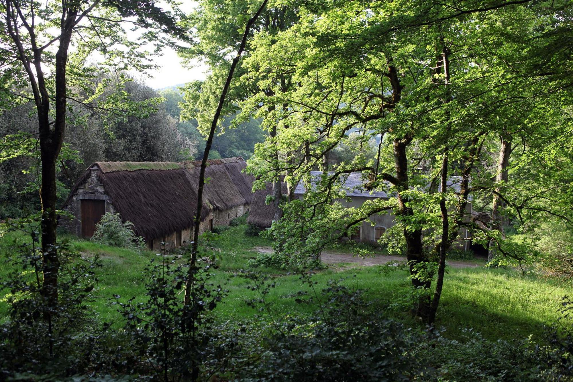 Logis Hotel Auberge De L'Espinouse Fraisse-sur-Agout Eksteriør billede